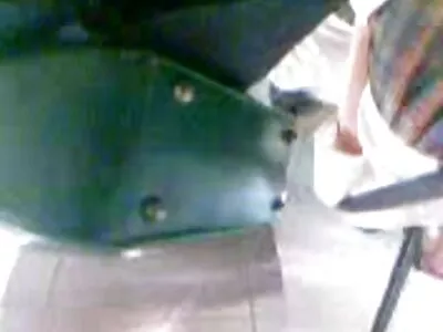 किशोर जोडप्यात सामील होतात